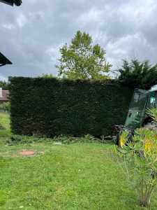 Photo de galerie - Entretien espaces verts