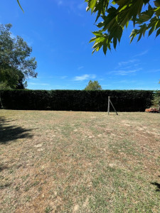 Photo de galerie - Taille haie 