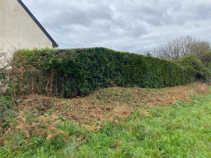 Photo de galerie - Débroussaillage