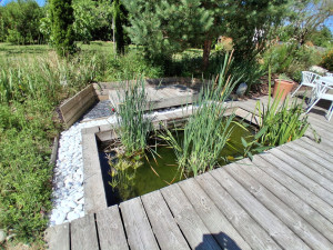 Photo de galerie - Après réaménagement des abords du bassin