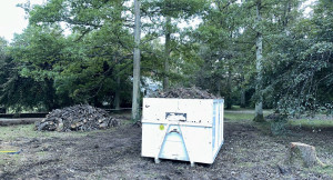 Photo de galerie - Elagage et coupe d'arbres