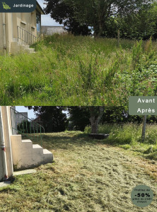 Photo de galerie - Débroussaillage avant tonte