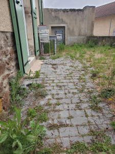 Photo de galerie - Photo AVANT : retrait des adventices (mauvaises herbes)