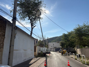Photo de galerie - Abattage d’un acacia géant à Marseille, 13 009, avec notre nacelle camions-bennes et Broyeur et l’équipe