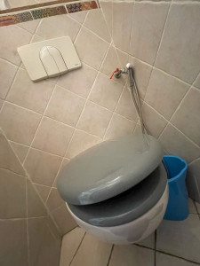 Photo de galerie - Réparation chasse d’eau WC encastrable et changement abattant de toilette 