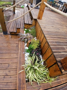 Photo de galerie - Mise en scène végétale implanté dans la terrasse 