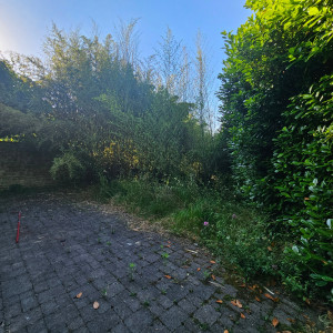 Photo de galerie - Débroussaillage Avant