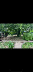 Photo de galerie - Débroussaillage et ramassage de déchet