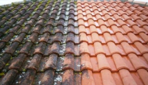 Photo de galerie - Bricolage et multi services