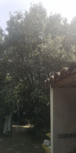 Photo de galerie - Avent 