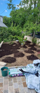 Photo de galerie - Dépose de la terre