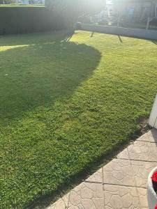 Photo de galerie - Tonte de pelouse - Débroussaillage