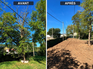 Photo de galerie -  AVANT / APRÈS  Dessouchage et nettoyage complet du terrain. Suppression des souches et des racines, évacuation des déchets végétaux et remise à niveau de la zone. Terrain propre, dégagé et prêt pour la suite des aménagements. 