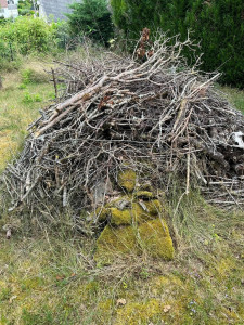 Photo de galerie - Évacuation des déchets 