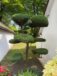 Photo de galerie - Paysagiste - Aménagement du jardin