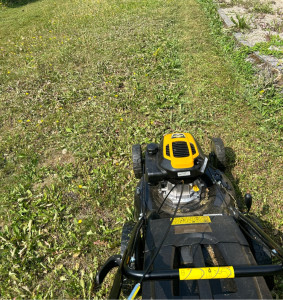 Photo de galerie - Tonte 