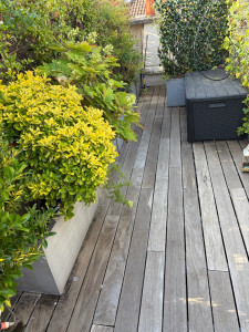 Photo de galerie - Une terrasse sur paris 