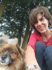 Photo de galerie - Promenade d'Angel, le chien que je garde régulièrement 