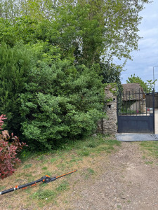 Photo de galerie - Taille de haies et d'arbustes