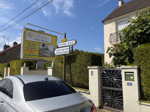 Photo de galerie - Taille de haies et d'arbustes