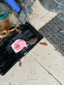 Photo de galerie - Manutention