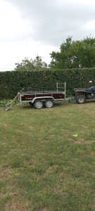 Photo de galerie - Taille et entretien de haies 
