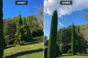 Photo de galerie - Pris d’un angle différent, mais ce sont les mêmes arbres