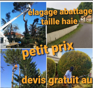 Photo de galerie - Nous sommes équipé pour tout ce qui concerne l’espace vert