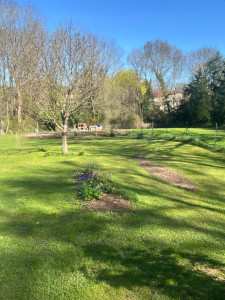 Photo de galerie - Tonte et aménagement parterre 