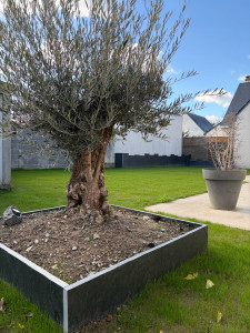 Photo de galerie - Création complet de jardin 