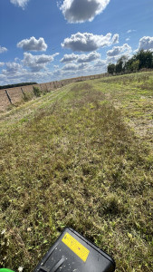 Photo de galerie - Tonte de terrain 