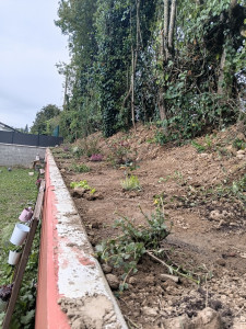 Photo de galerie - Aménagement d'un massif 