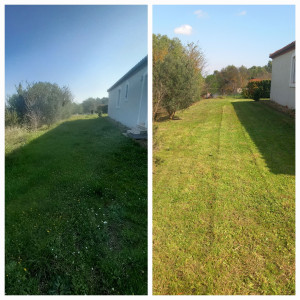 Photo de galerie - Tonte de pelouse - Débroussaillage