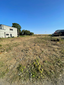 Photo de galerie - Fin du débroussaillage de 500 m2