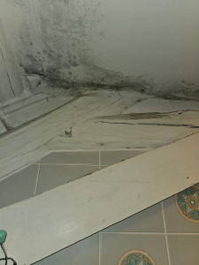 Photo de galerie - Bricolage et multi services