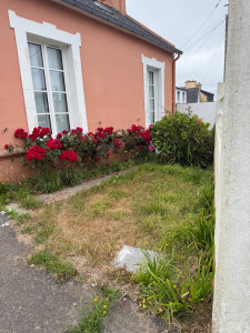 Photo de galerie - Paysagiste - Aménagement du jardin