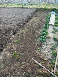 Photo de galerie - D’heserbage jardin 