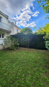 Photo de galerie - Taille d'une haie (après)