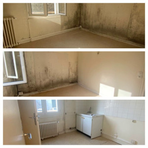 Photo de galerie - Nettoyage 