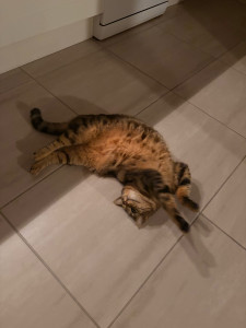 Photo de galerie - .