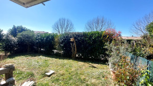 Photo de galerie - Débroussaillage et taille dehaie