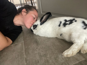 Photo de galerie - Garde animaux