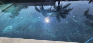 Photo de galerie - Entretien piscine