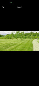 Photo de galerie - Tonte de pelouse 