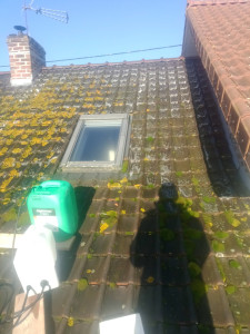 Photo de galerie - Couverture - Toiture