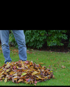 Photo de galerie - Jardinier