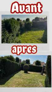 Photo de galerie - Taille de haies et d’arbustes avec tonte de pelouse 