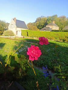 Photo de galerie - Entretien d'été 