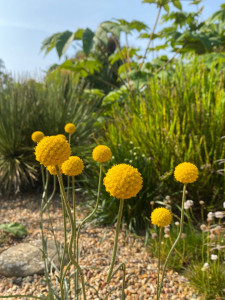 Photo de galerie - Mon jardin privé 