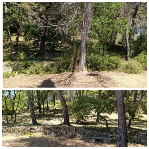 Photo de galerie - .